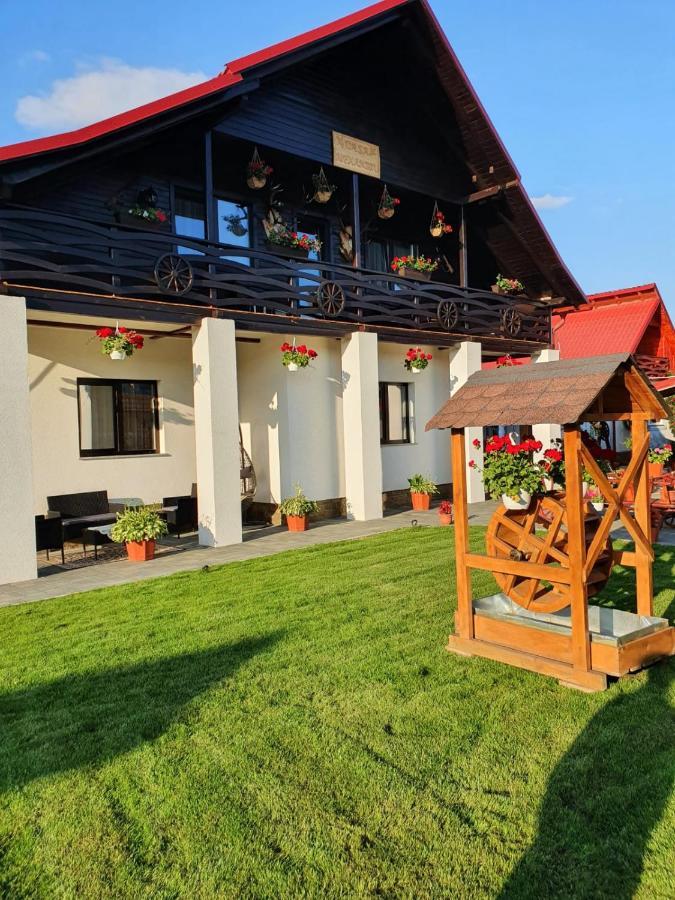 Hotel Casa Alexandru - Locul In Care Te Simti Acasa Viseu de Jos Exterior foto