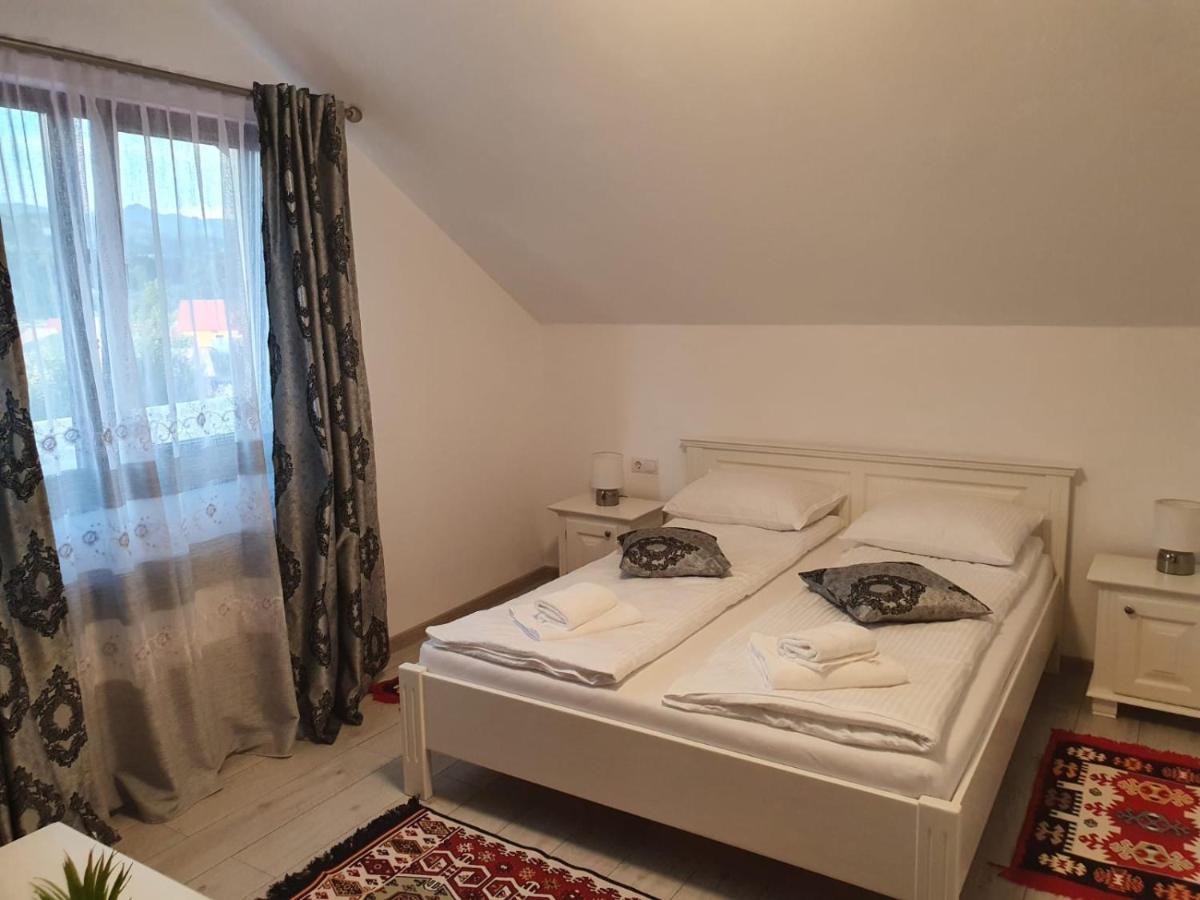 Hotel Casa Alexandru - Locul In Care Te Simti Acasa Viseu de Jos Exterior foto