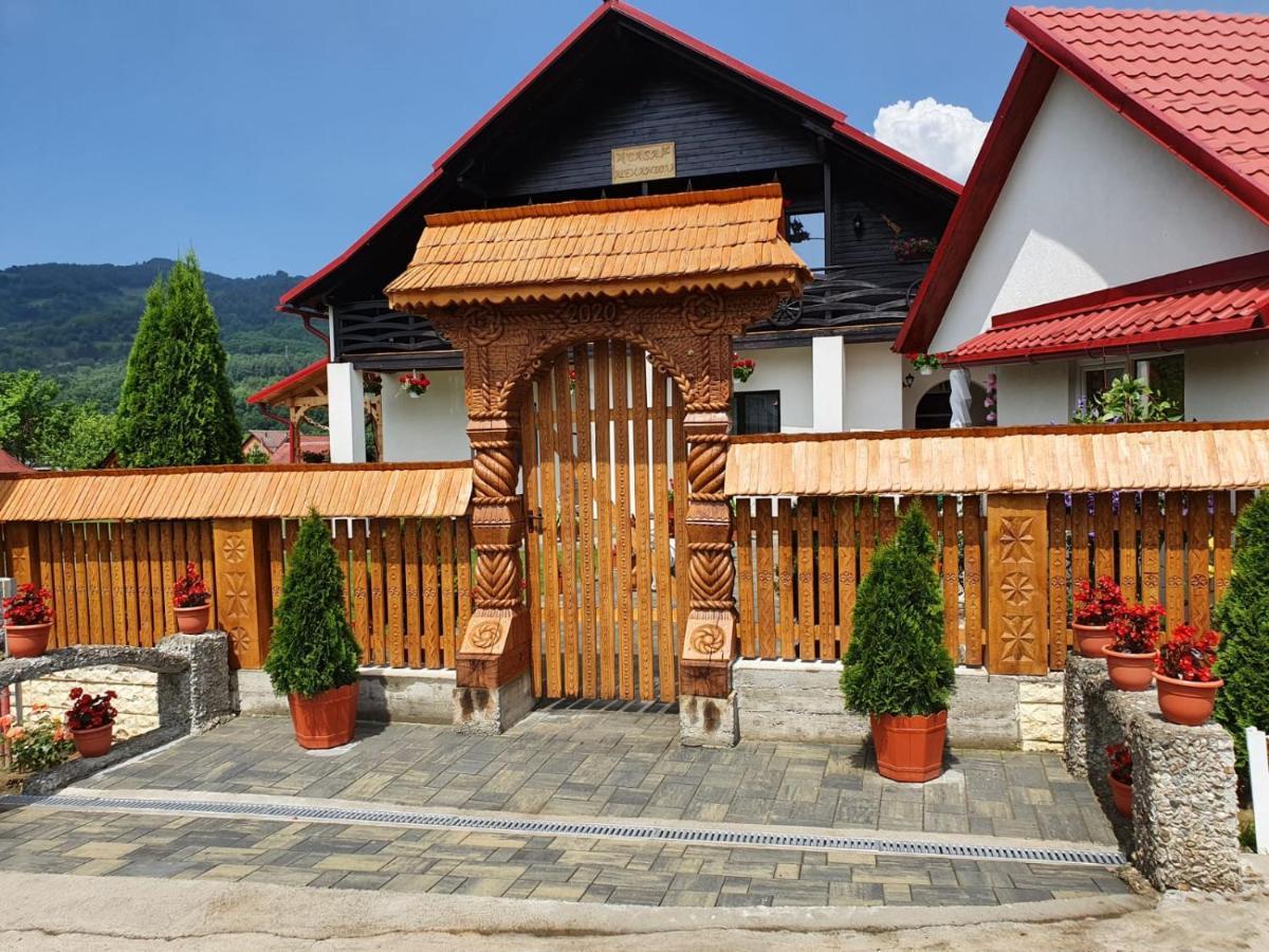 Hotel Casa Alexandru - Locul In Care Te Simti Acasa Viseu de Jos Exterior foto
